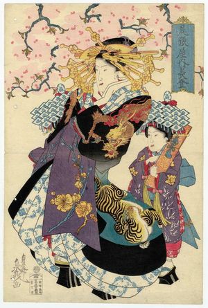 Teisai Senchô: Nagato of the Owariya, from an untitled series of courtesans under cherry blossoms - ボストン美術館