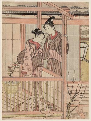 Suzuki Harunobu: Couple on a Drying Platform - Museum of Fine Arts