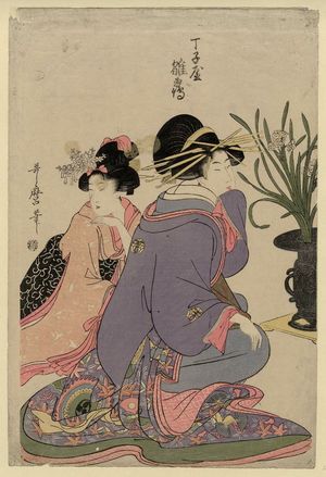 Kitagawa Utamaro: Hinazuru of the Chôjiya, from an untitled series of courtesans arranging flowers - Museum of Fine Arts