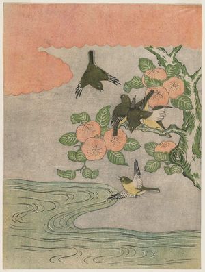 Suzuki Harunobu: Quince Fruit and Japanese White-eye (Mejiro) - Museum of Fine Arts