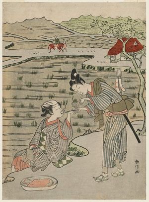 Suzuki Harunobu: A Traveller in the Country Getting a Light for His Pipe - Museum of Fine Arts
