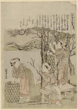 北尾重政: No. 2, from the series Silkworm Cultivation (Kaiko yashinai gusa) - ボストン美術館