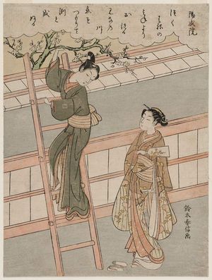Suzuki Harunobu: Poem by Yôzei-in, from an untitled series of One Hundred Poems by One Hundred Poets (Hyakunin isshu) - Museum of Fine Arts