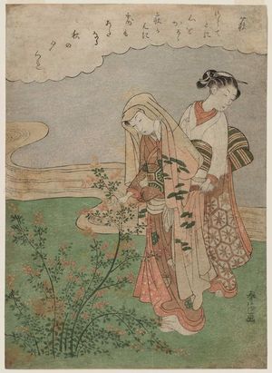 Suzuki Harunobu: Bush Clover (Hagi), from an untitled series of Flowers - Museum of Fine Arts