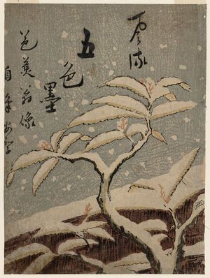 鈴木春信: Portrait of Bashô (Bashô-ô no zô), title page for the series Fashionable Versions of Ink in Five Colors (Fûryû goshiki-zumi) - ボストン美術館