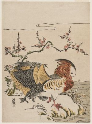 Isoda Koryusai: Mandarin Ducks and Flowering Plum in Snow - Museum of Fine Arts