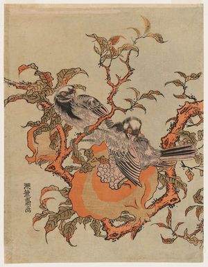 Isoda Koryusai: Pomegranate and Two Birds - Museum of Fine Arts