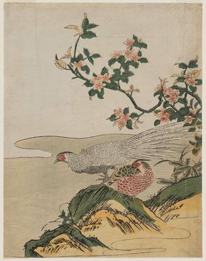 磯田湖龍齋: Pheasants and Peach Blossoms - ボストン美術館