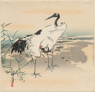 Toan: Two cranes by the shore - Museum of Fine Arts