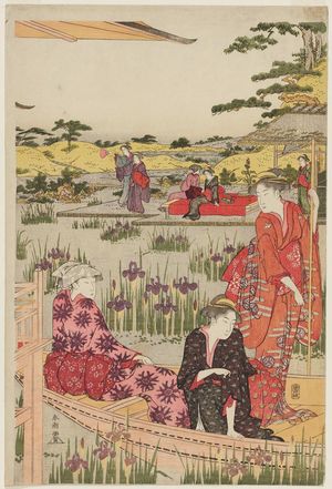 Katsukawa Shuncho: Iris Garden - Museum of Fine Arts