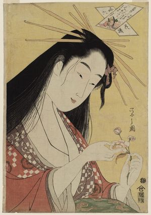 細田栄之: Komachi, from the series Six Selected Flowers Imitating the Six Poetic Immortals (Yatsushi Rokkasen) - ボストン美術館