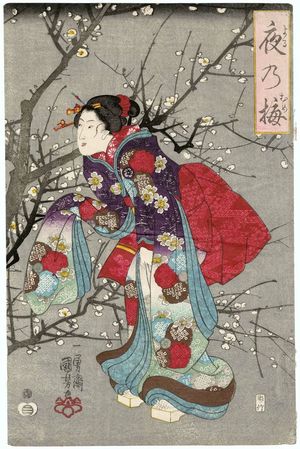 Utagawa Kuniyoshi: Plum Blossoms at Night (Yoru no ume) - Museum of Fine Arts