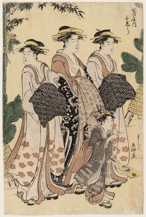 Gokyô: Courtesans Parading at New Year: Sanshû of the Tsutaya - Museum of Fine Arts