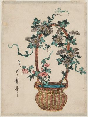喜多川歌麿: Flower Arrangement with Clematis and Morning Glories - ボストン美術館