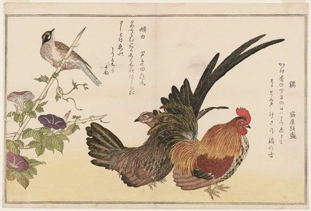 Kitagawa Utamaro: Chickens (Niwatori) and Bunting (Hôjiro), from the album Momo chidori kyôka awase (Myriad Birds: A Kyôka Competition) - Museum of Fine Arts