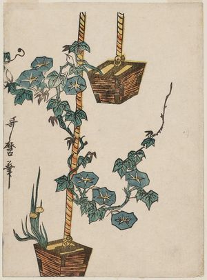 Kitagawa Utamaro: Flower Arrangements with Morning Glories and Narcissus - Museum of Fine Arts