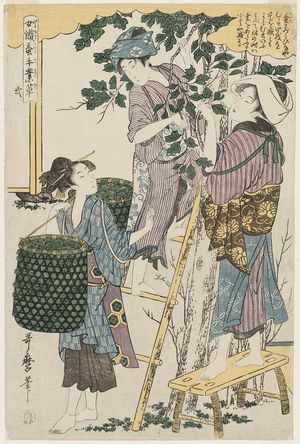 Kitagawa Utamaro: No. 2 from the series Women Engaged in the Sericulture Industry (Joshoku kaiko tewaza-gusa) - Museum of Fine Arts
