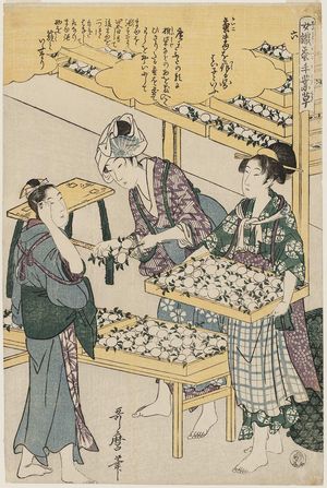 喜多川歌麿: No. 6 from the series Women Engaged in the Sericulture Industry (Joshoku kaiko tewaza-gusa) - ボストン美術館