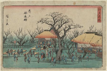 歌川広重: Plum Garden at Kameido (Kameido Umeyashiki), from the series Famous Places in Edo (Edo meisho) - ボストン美術館