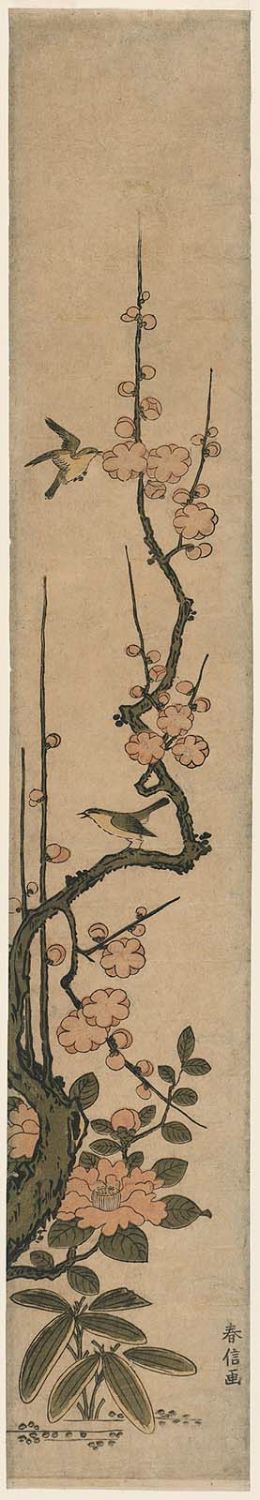 鈴木春信: Warblers and Flowering Plum - ボストン美術館