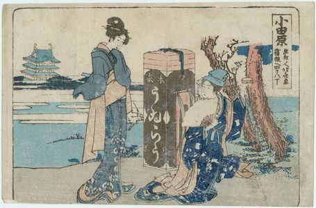 Katsushika Hokusai: Odawara, from an untitled series of the Fifty-three Stations of the Tôkaidô Road - Museum of Fine Arts