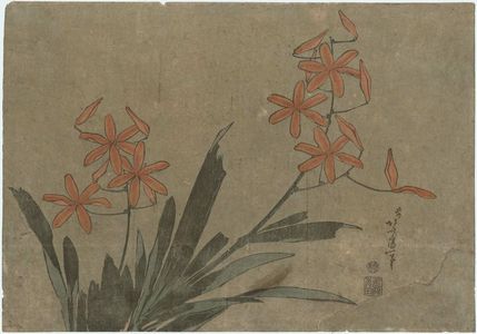 葛飾北斎: Orange Orchids, from an untitled series known as Large Flowers - ボストン美術館