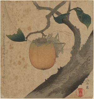 Katsushika Hokusai: Grasshopper and Persimmon - Museum of Fine Arts