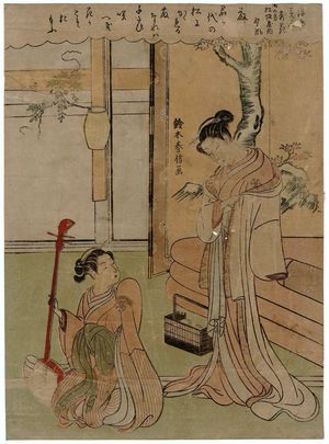 Suzuki Harunobu: Wisteria: Nokaze of the Matsuzakaya in the Southern Direction (Minami no kata Matsuzakaya uchi Nokaze, fuji), from the series Beauties of the Floating World Compared to Flowers (Ukiyo bijin yosebana) - Museum of Fine Arts