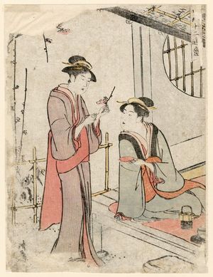 鳥居清長: Two Women Admiring Plum Blossoms, from the series Twelve Scenes of Popular Customs (Fûzoku jûni tsui) - ボストン美術館