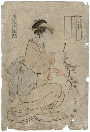 Hosoda Eishi: Ueda Stripes (Ueda-jima), from the series Fashionable Five-needled Pine (Fûryû mitate goyô no matsu) - Museum of Fine Arts