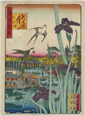 Nansuitei Yoshiyuki: Irises at Urae (Urae kakitsubata), from the series One Hundred Views of Osaka (Naniwa hyakkei) - ボストン美術館