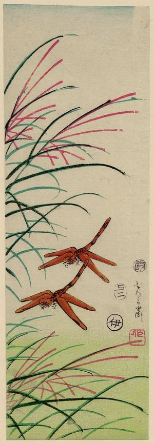Utagawa Yoshimori: Dragonflies and Pampas Grass - ボストン美術館