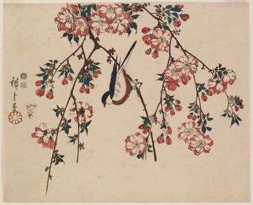 Utagawa Hiroshige: Bird on Double Cherry Branch - Museum of Fine Arts