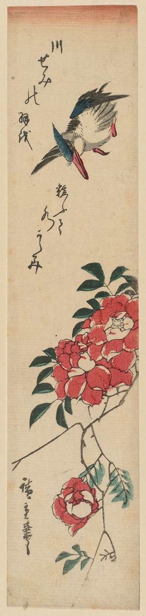 Utagawa Hiroshige: Kingfisher and Wild Rose - Museum of Fine Arts