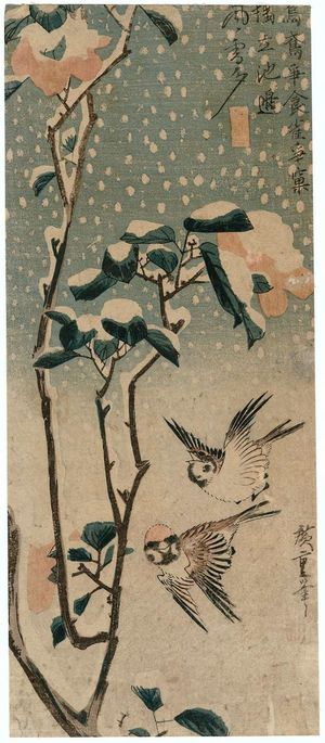 Utagawa Hiroshige: Sparrows and Camellia in Snow - Museum of Fine Arts