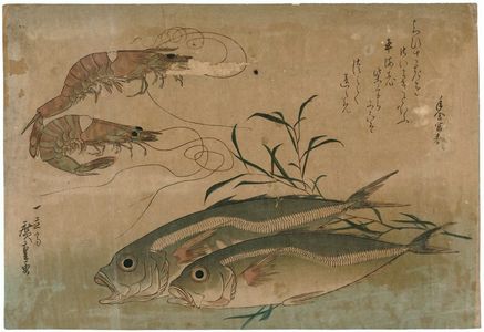 歌川広重: Horse Mackerel, Freshwater Prawns, and Seaweed, from an untitled series known as Large Fish - ボストン美術館