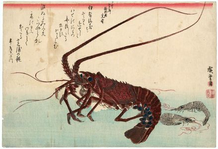 Utagawa Hiroshige: Lobster and Shrimp, from an untitled series known as Large Fish - Museum of Fine Arts