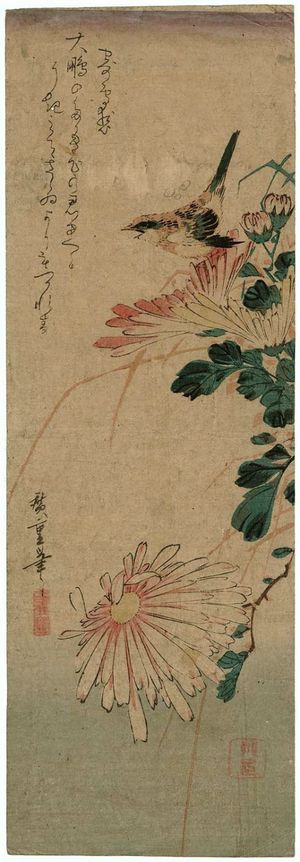 Utagawa Hiroshige: Bird and Chrysanthemums - Museum of Fine Arts