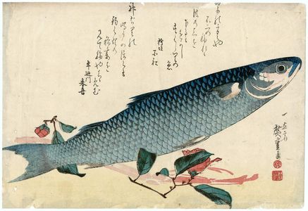 歌川広重: Mullet, Asparagus, and Camellia, from an untitled series known as Large Fish - ボストン美術館