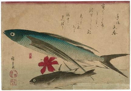歌川広重: Flying Fish, Ishimochi, and Lily, from an untitled series known as Large Fish - ボストン美術館