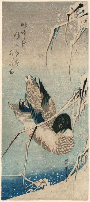 歌川広重: Mallard Duck and Snow-covered Reeds - ボストン美術館