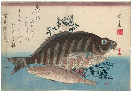 歌川広重: Striped Sea Bream, Rock-trout, and Nandina, from an untitled series known as Large Fish - ボストン美術館