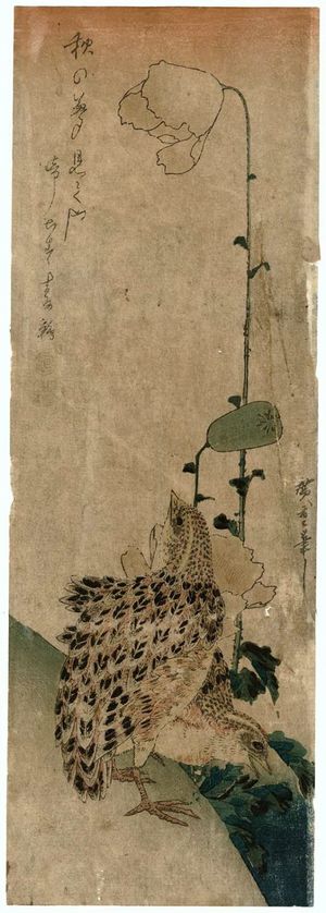Utagawa Hiroshige: Quail and Poppies - Museum of Fine Arts