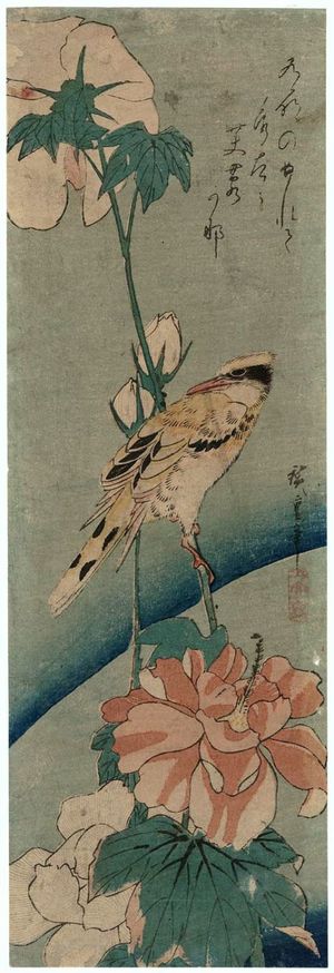 Utagawa Hiroshige: Hibiscus and Black-naped Oriole - Museum of Fine Arts