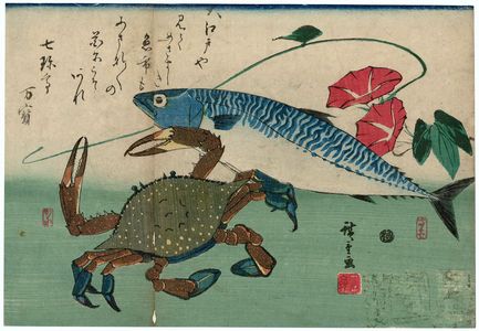 歌川広重: Mackerel, Crab, and Morning Glory, from an untitled series known as Large Fish - ボストン美術館