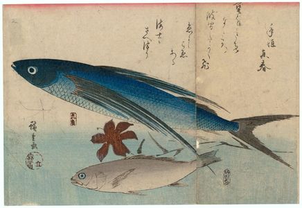 Utagawa Hiroshige: Flying Fish, Ishimochi, and Lily, from an untitled series known as Large Fish - Museum of Fine Arts