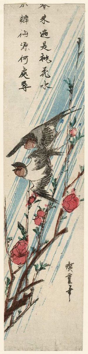 Utagawa Hiroshige: Swallows and Peach Blossoms in Rain - Museum of Fine Arts