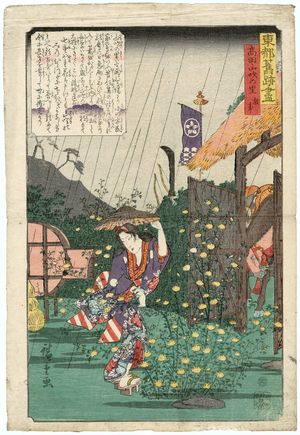 Utagawa Hiroshige: The Old Story of the Village of Kerria Roses in Takada (Takada yamabuki no sato, koji), from the series A Compendium of Historical Sites in the Eastern Capital (Tôto kyûseki zukushi) - Museum of Fine Arts