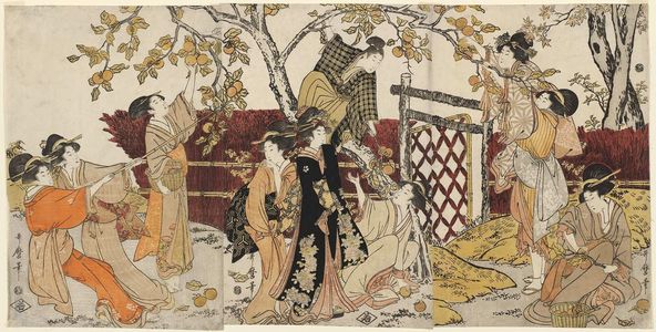 Kitagawa Utamaro: Picking Persimmons - Museum of Fine Arts