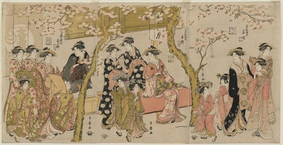 Kitagawa Utamaro: Courtesans under Cherry Trees in Front of the Daikokuya - Museum of Fine Arts